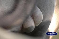 Dr3/ Lojas... and your trip to brokeback mountain...-cameltestewallpaper.jpg