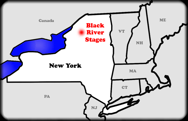 Name:  BRS-in-New-York-650x418.gif
Views: 101
Size:  36.2 KB