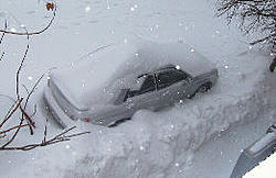 20+ Inches of Snow!?!?-aut_2402.jpg