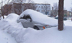 20+ Inches of Snow!?!?-aut_2404.jpg