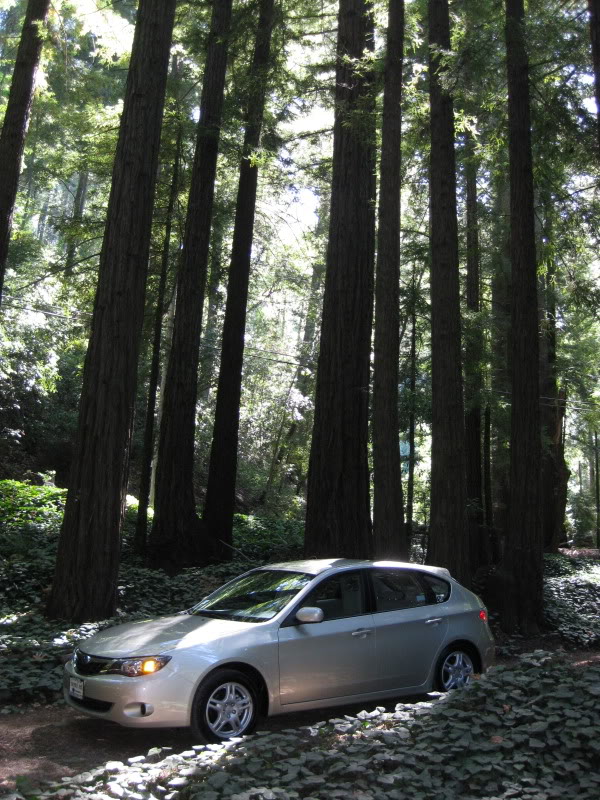 Name: IMG_2661.jpg
Views: 21
Size: 164.2 KB