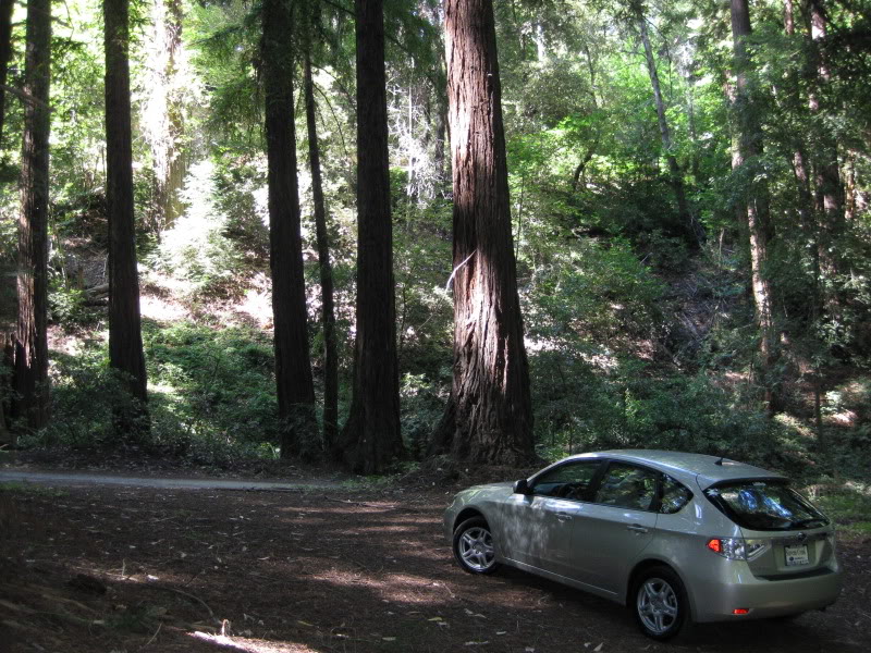 Name: IMG_2666.jpg
Views: 21
Size: 181.2 KB