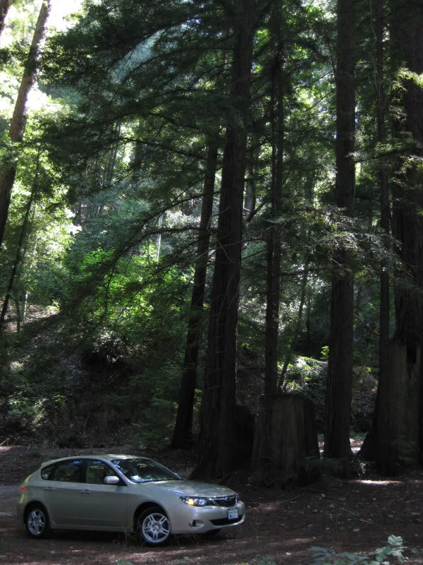 Name:  IMG_2679.jpg
Views: 20
Size:  150.4 KB