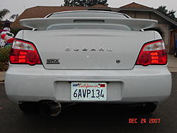 Trade me a wingless trunk!-dsc01167.jpg