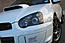 silver_rex05's Avatar